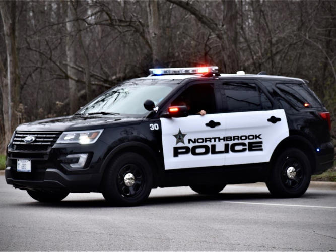 Scammer Drains $5K Out Of Savings Accounts: Northbrook Police Blotter