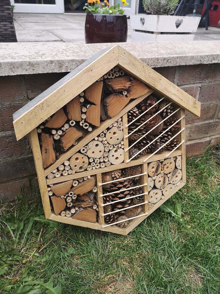 Make A Bug Hotel With The Kids