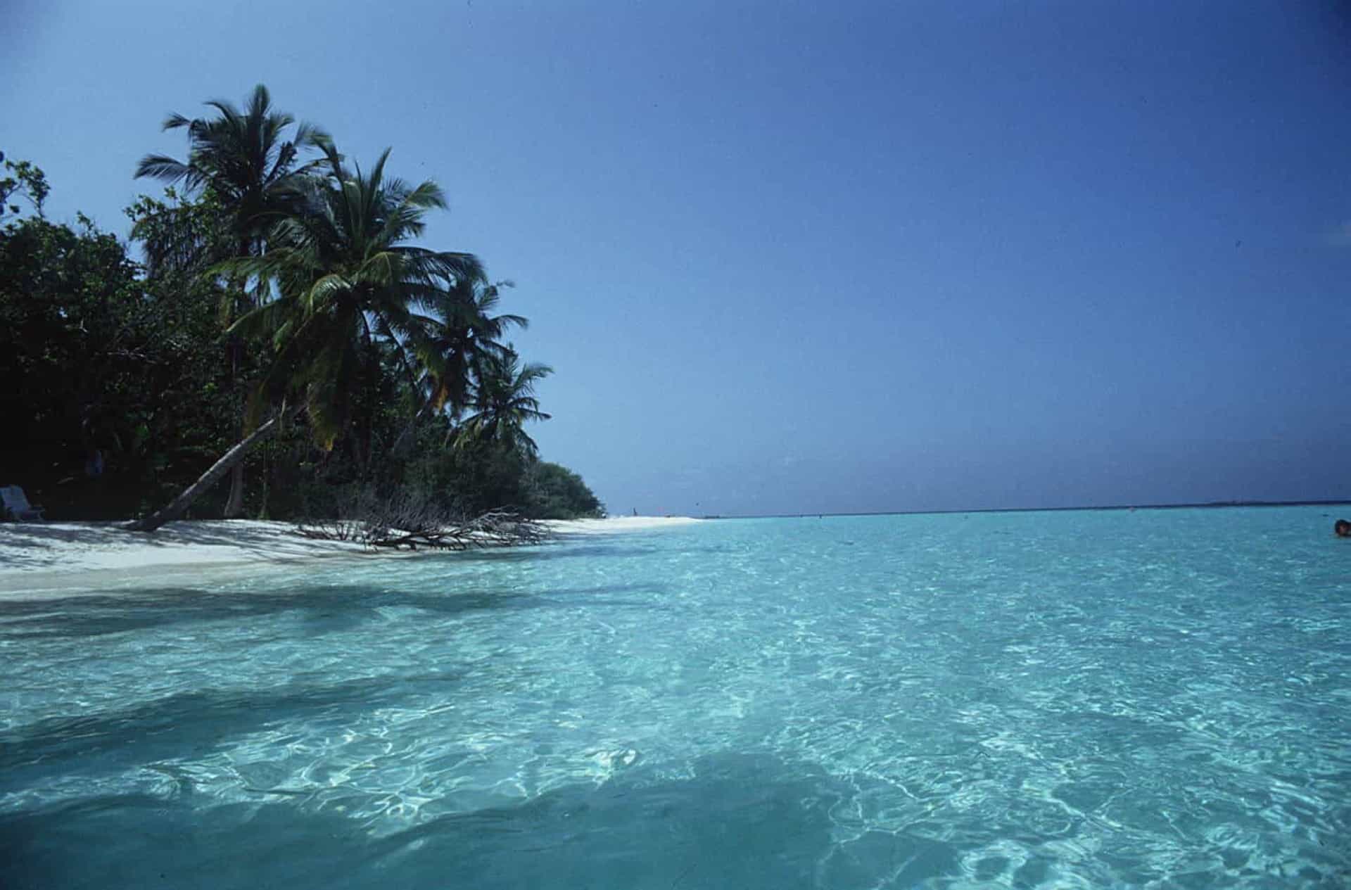 <p>The Maldives is indeed paradisiacal, with its pristine waters and luxury resorts. In the early '90s, many American tourists discovered this gem. </p>