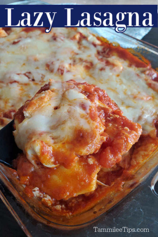 3 Ingredient Lazy Lasagna Recipe