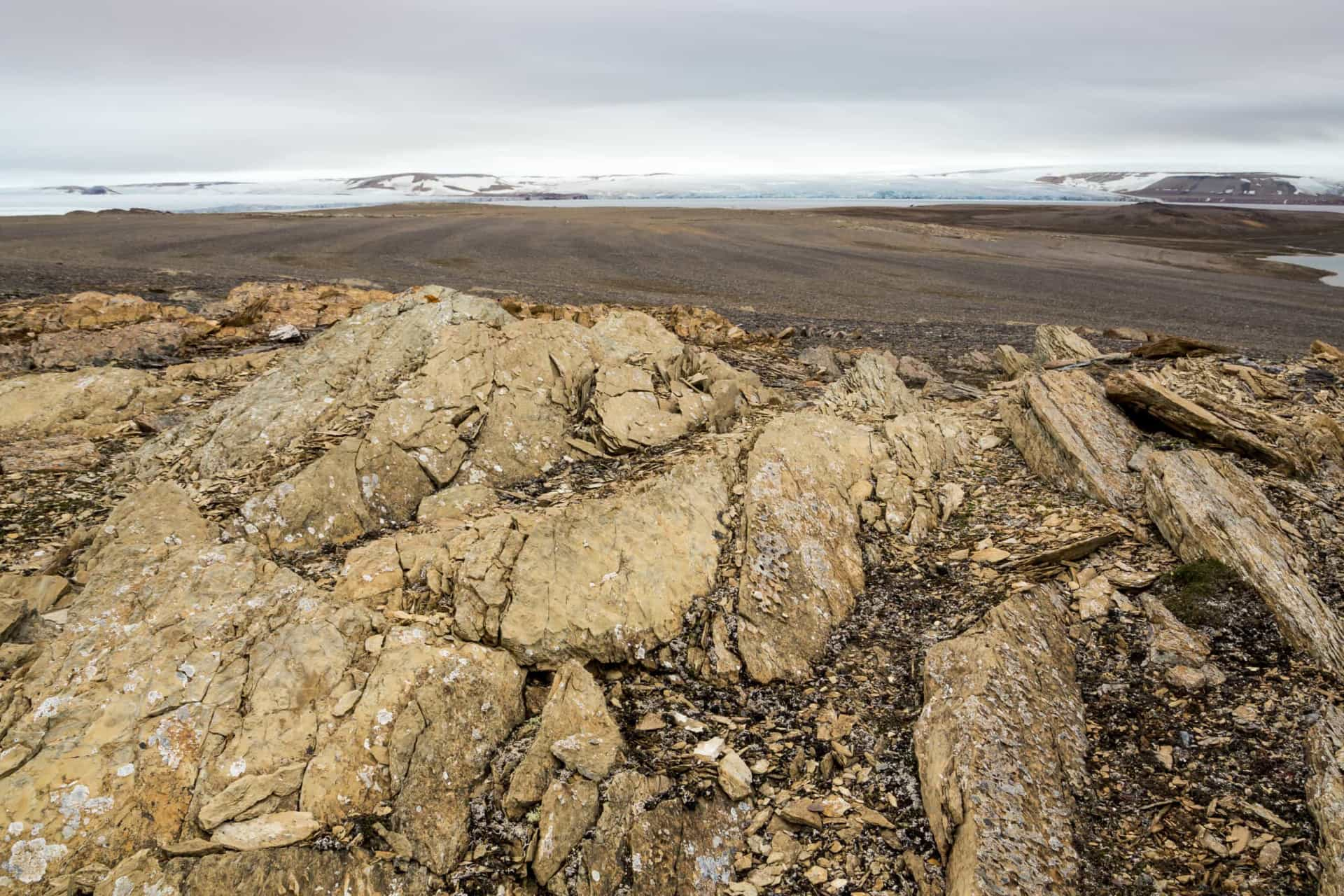 The surprising history of the oldest mountains in the world