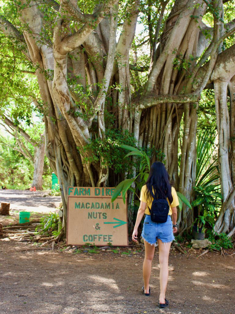 33 Fun and Free Family Activities In Oahu