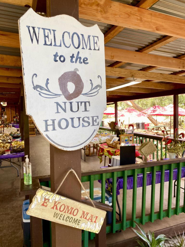 33 Fun and Free Family Activities In Oahu