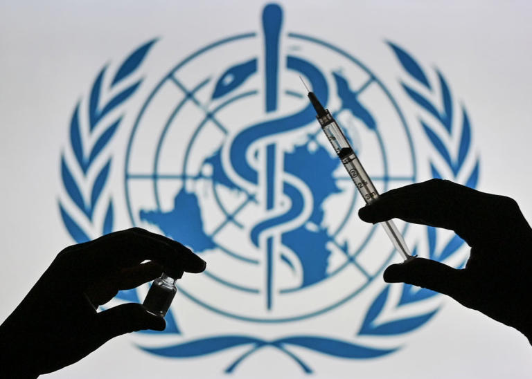 WHO director calls for world pandemic treaty to prepare for Disease X