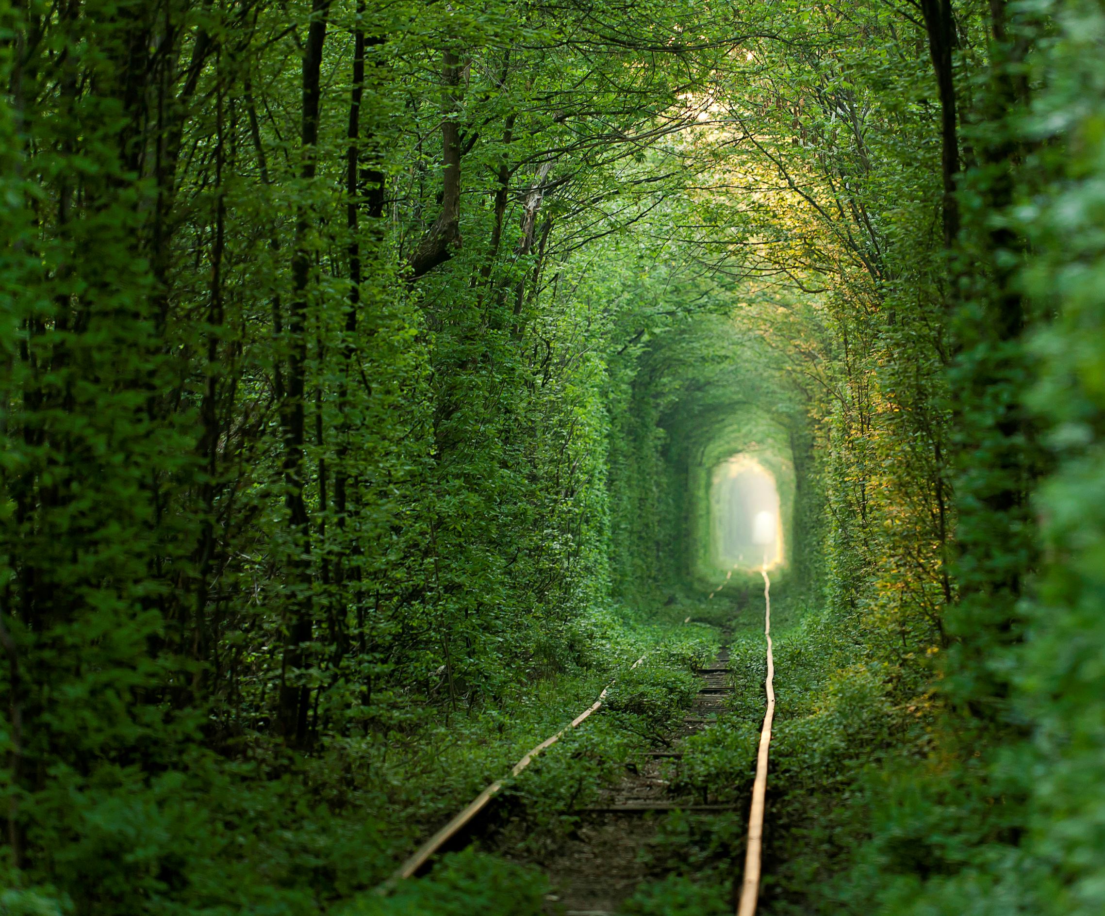Green tunnel.
