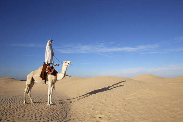 ÎÎ¹Î±ÏÎ¬Î½ÎµÎ¹Î± 8 Î±ÏÏ 13: MODEL RELEASED Dromedary rider in the Sahara, Douz, Kebili, Tunisia, North Africa