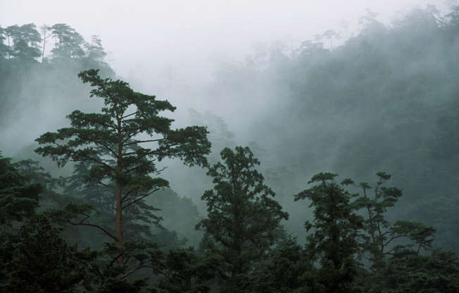 ÎÎ¹Î±ÏÎ¬Î½ÎµÎ¹Î± 8 Î±ÏÏ 18: Miyajima, Japan