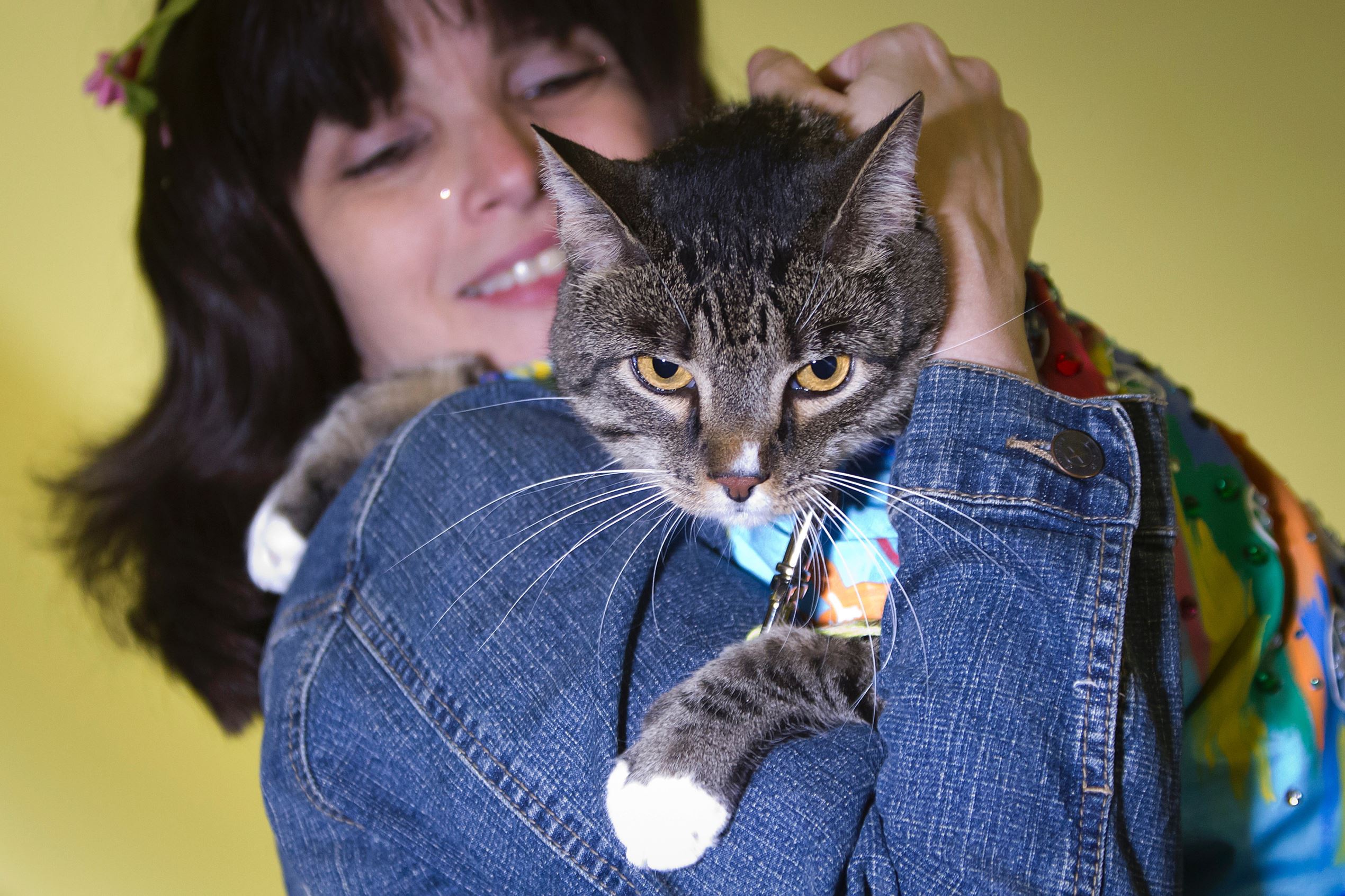 Slide 3 de 50: undefined