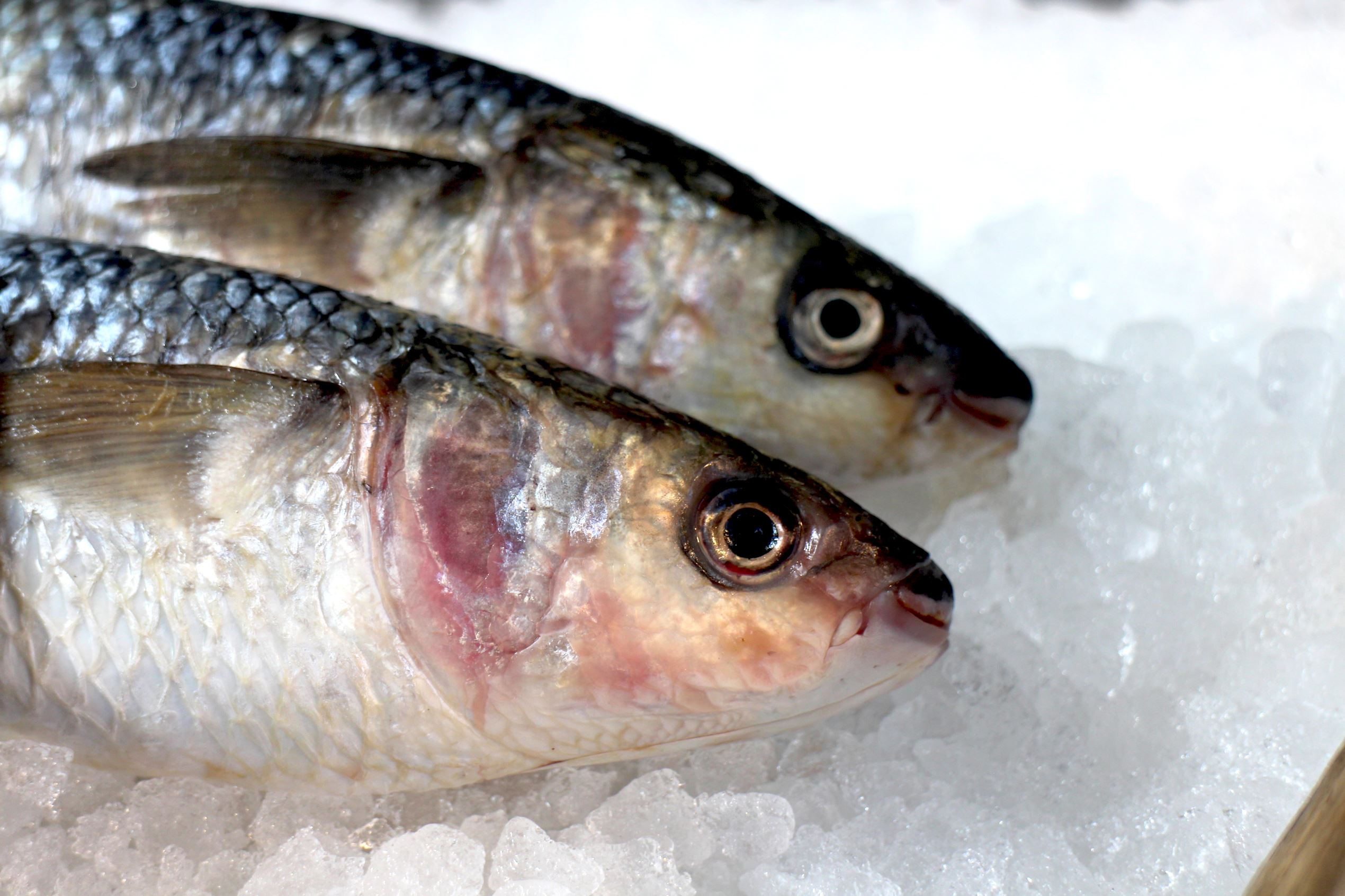 ÎÎ¹Î±ÏÎ¬Î½ÎµÎ¹Î± 13 Î±ÏÏ 15: Fish Odour Syndrome