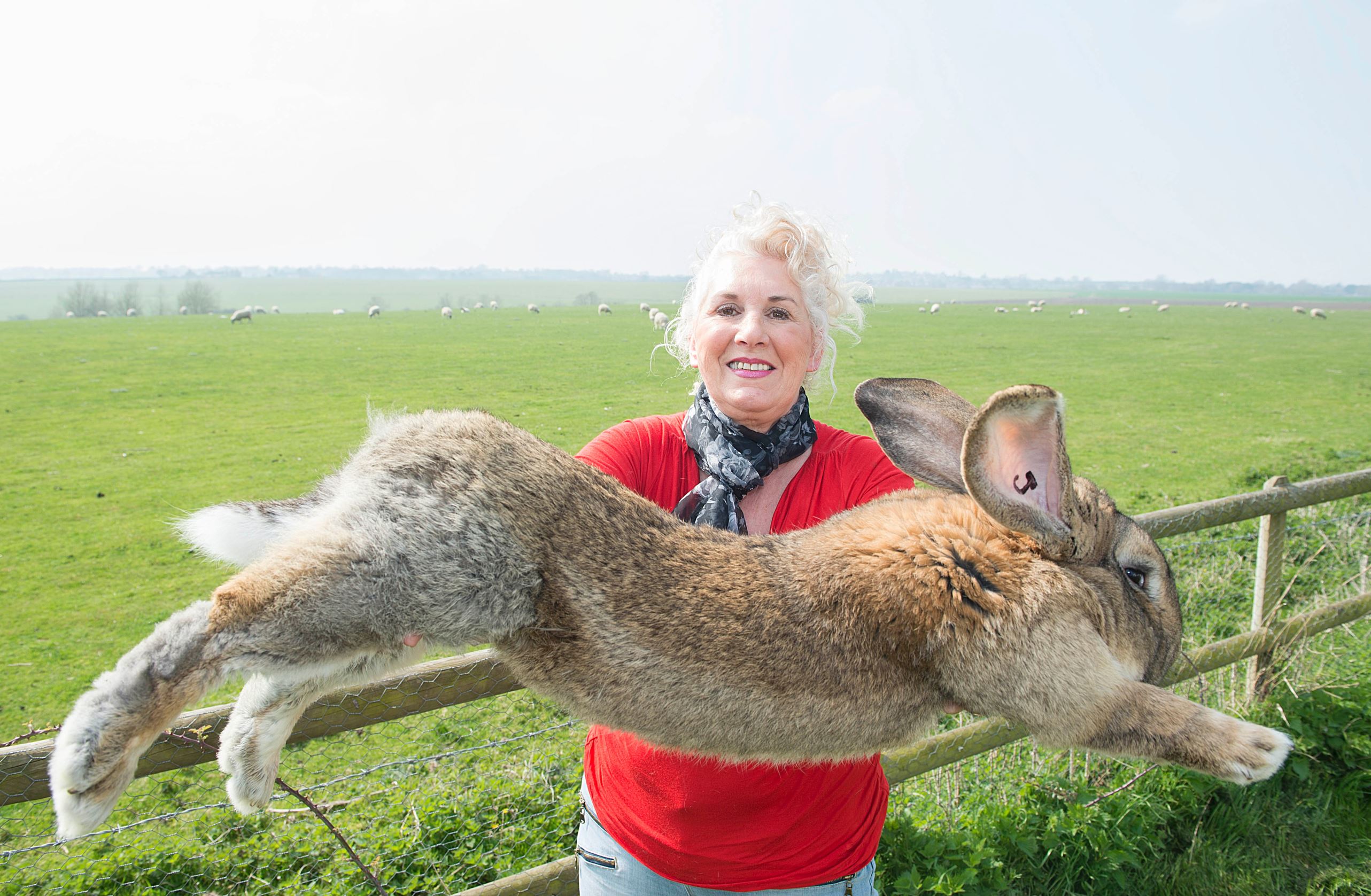 Meet the world's biggest pets