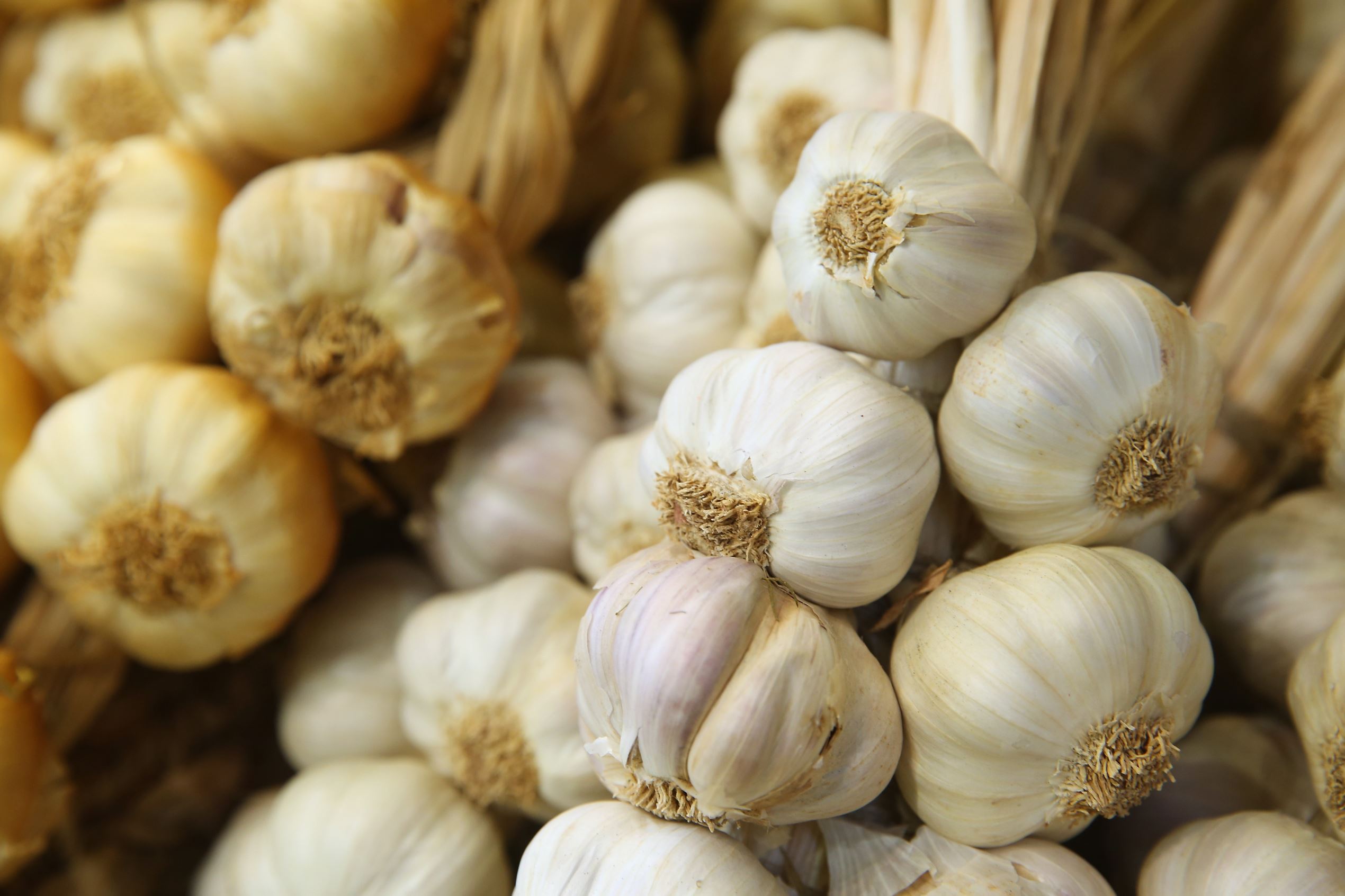 Slajd 5 z 20: garlic