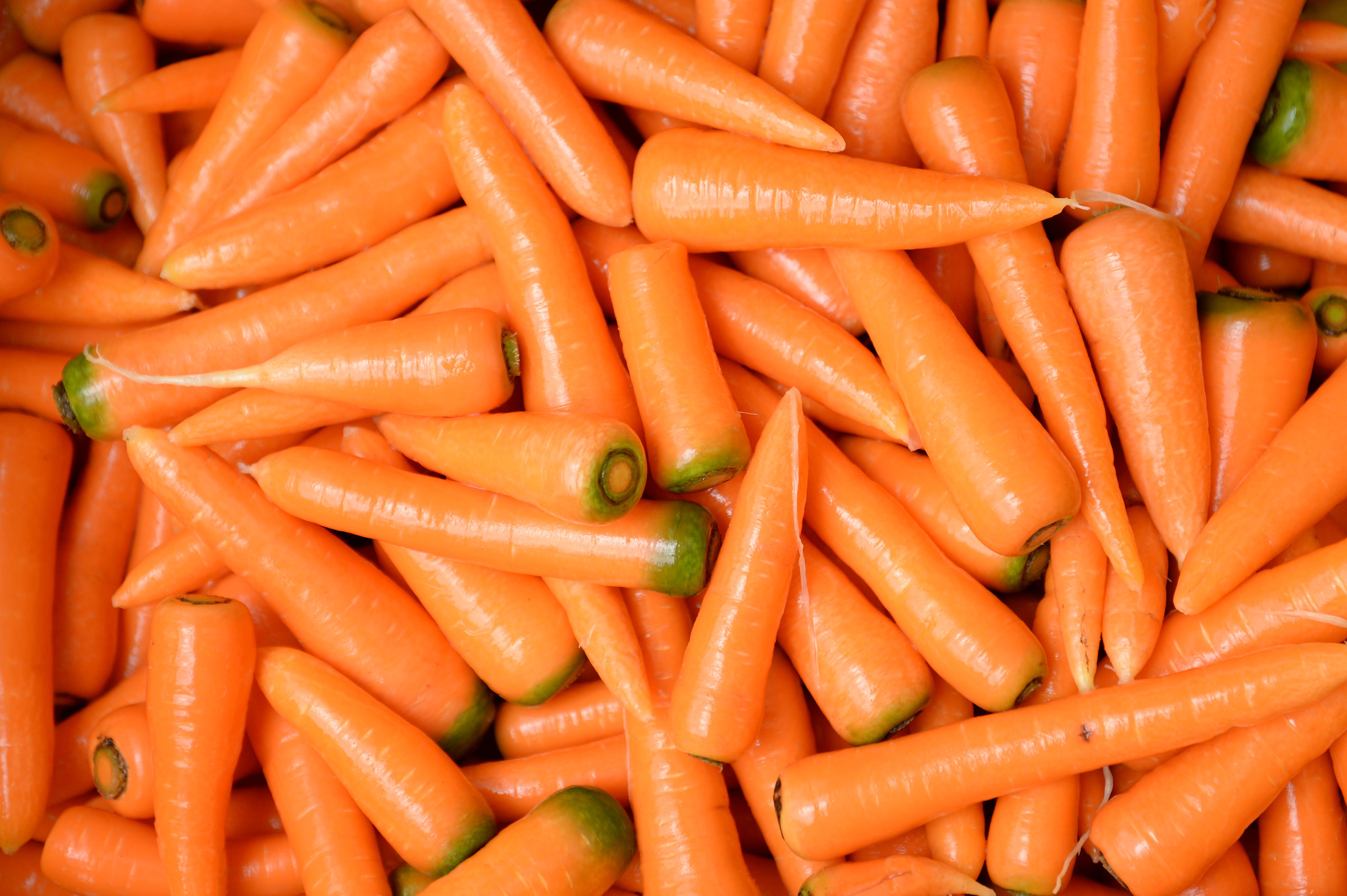 Slajd 13 z 20: Carrots