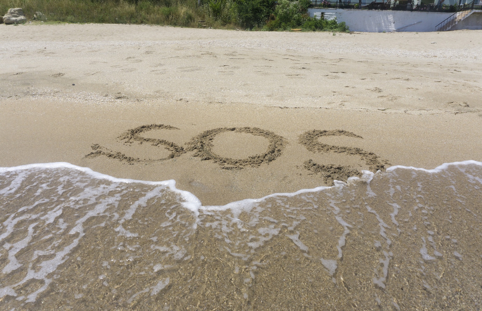 Похожее изображение