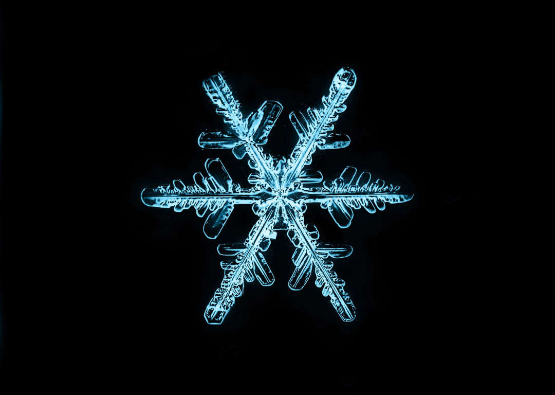 圖 每片都獨一無二顯微鏡下的雪花結晶