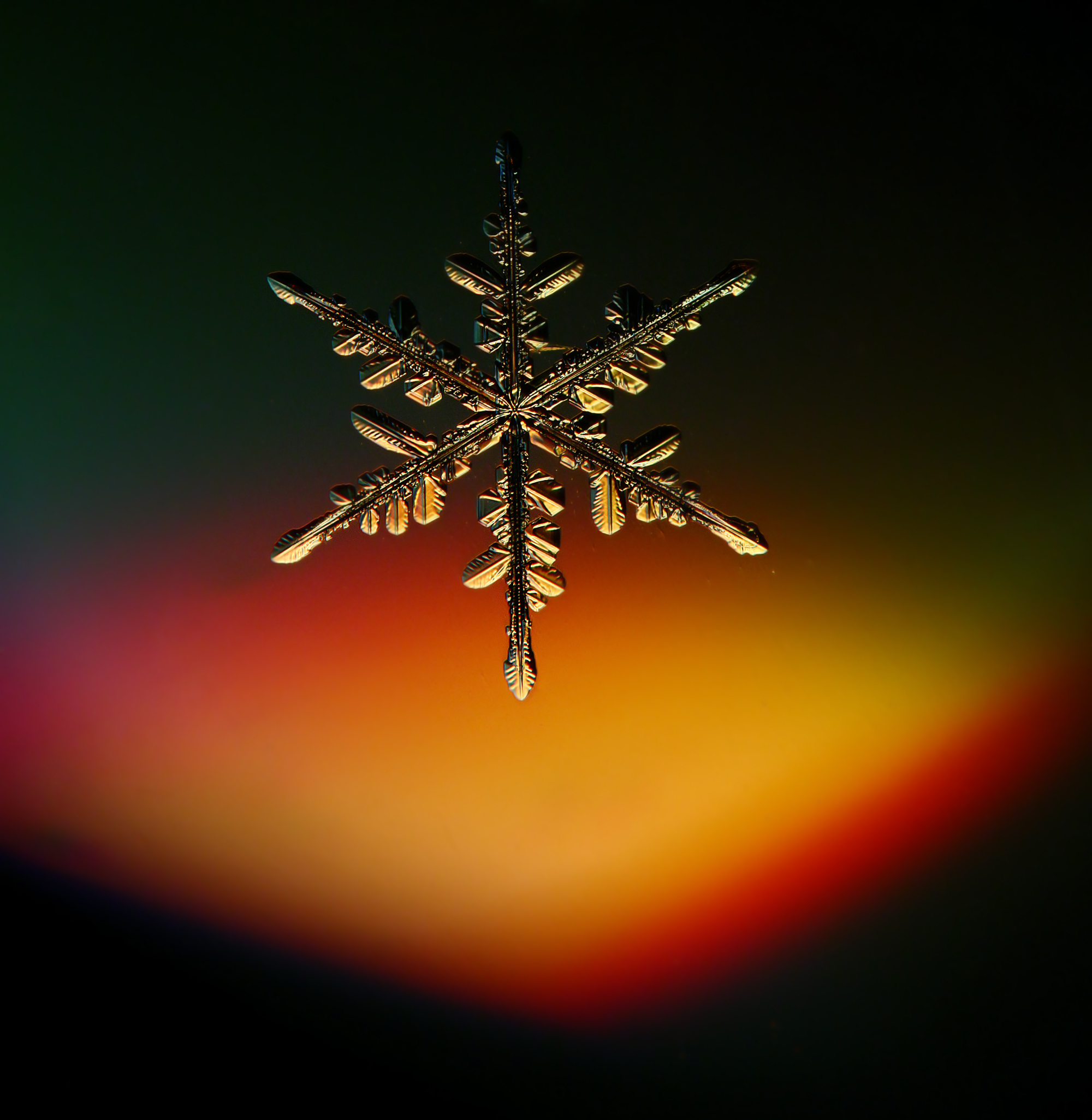 圖 每片都獨一無二顯微鏡下的雪花結晶