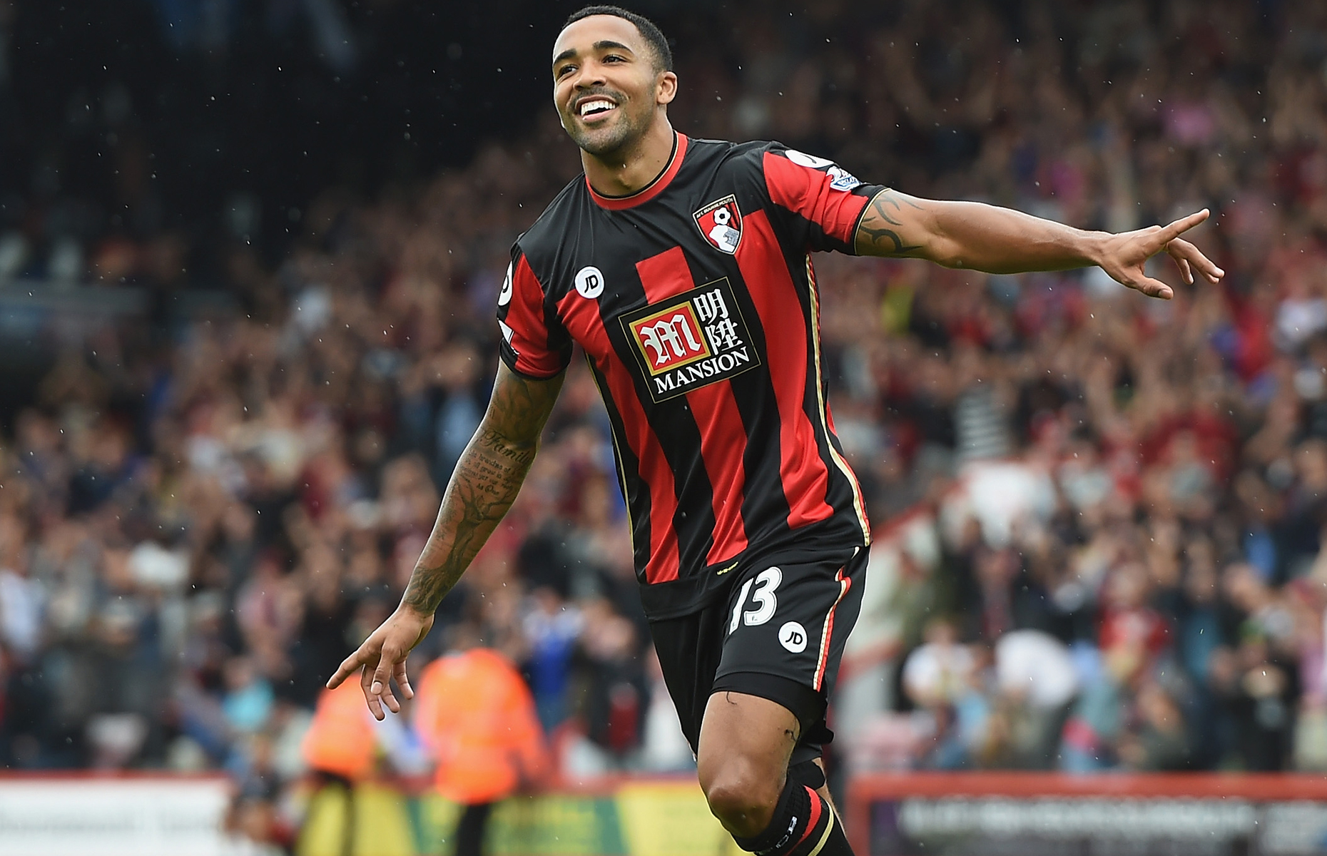Resultado de imagem para callum wilson