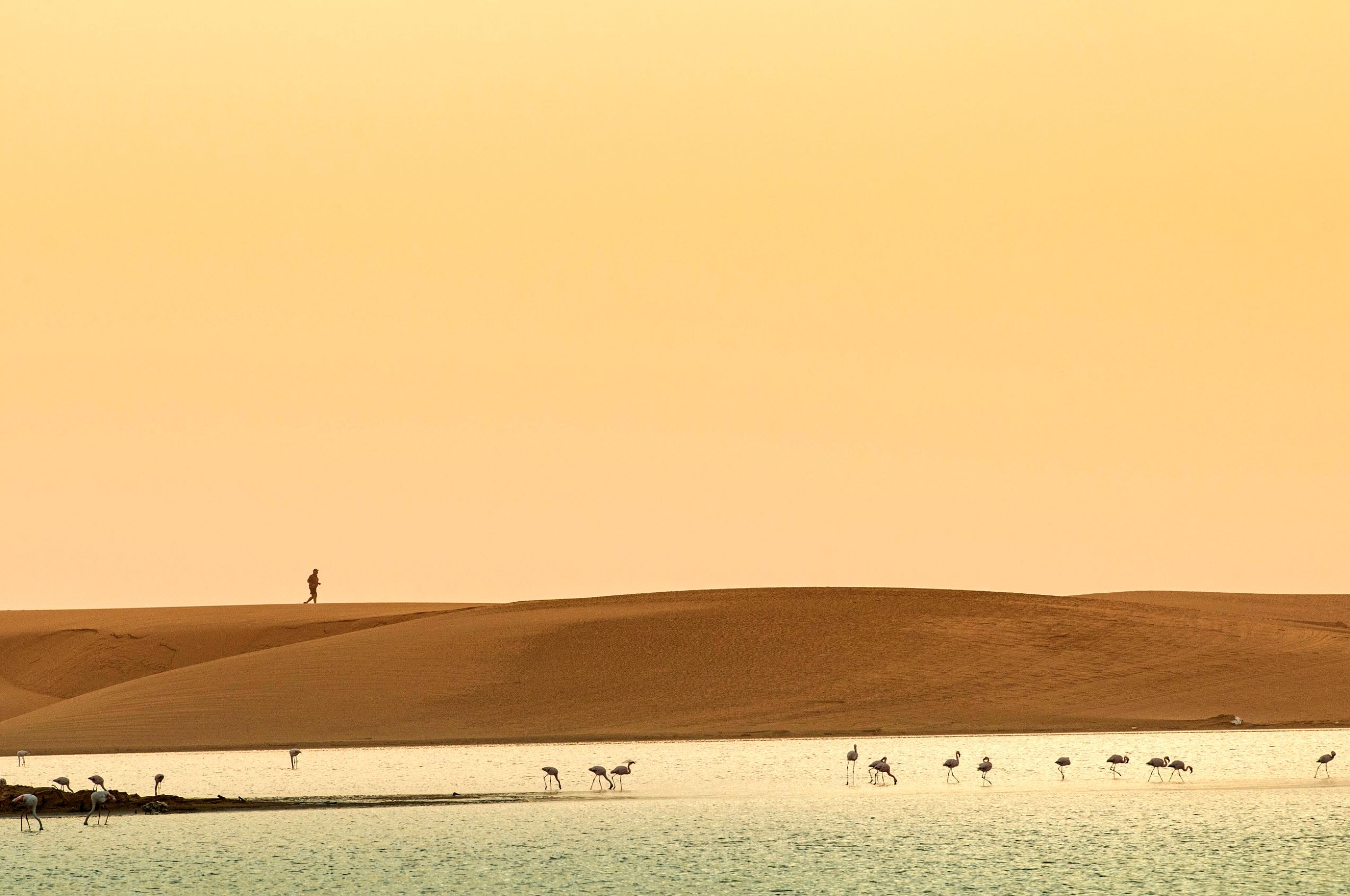 幻灯片 10 - 2: the greater wetlands consist of a tidal lagoon