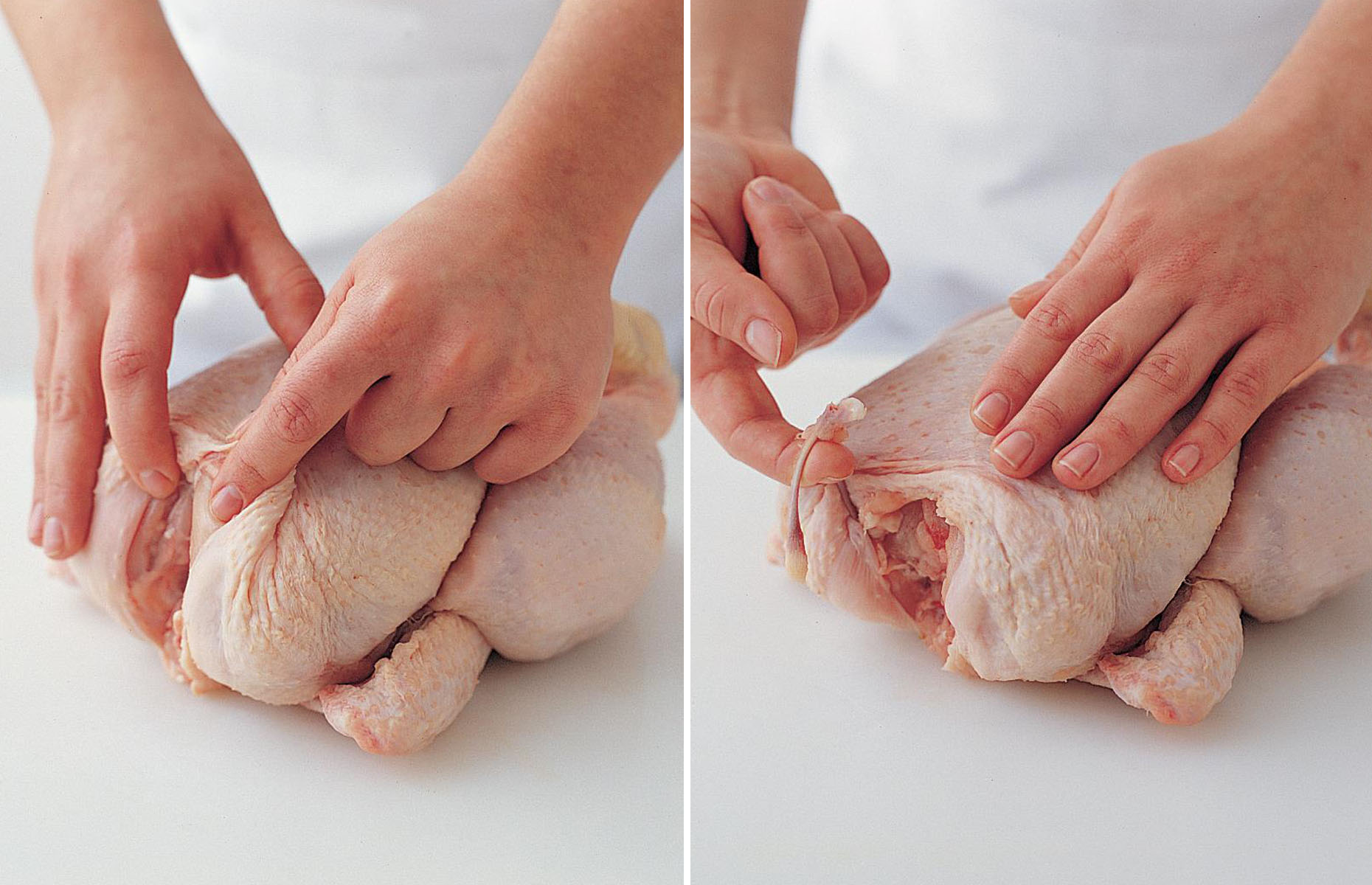 The Illustrated Kitchen Bible Roast Chicken Preparing & Carving