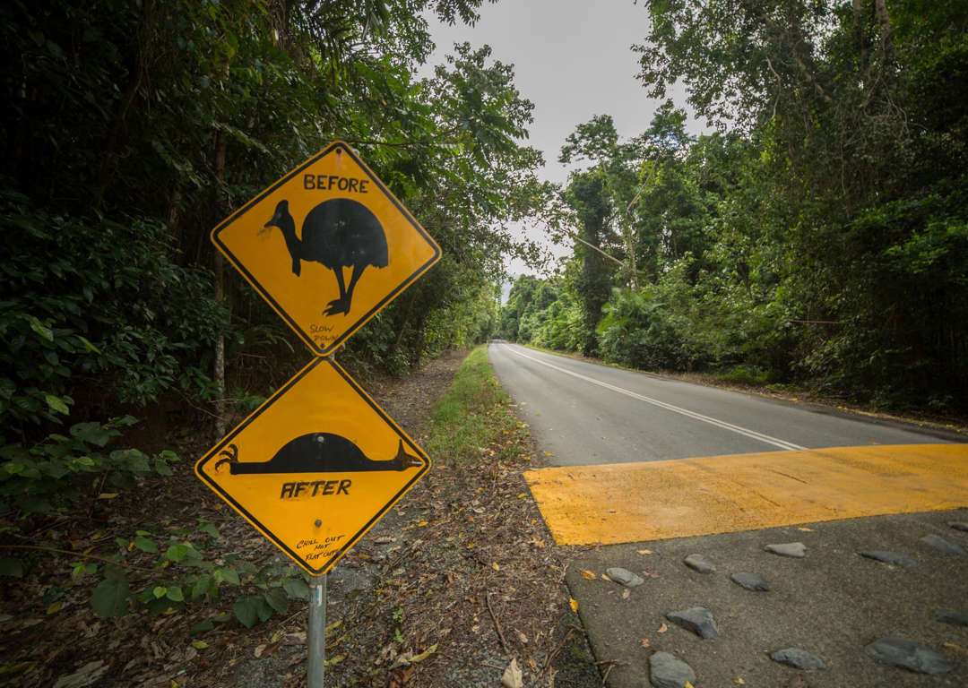 Funny road signs that actually exist​