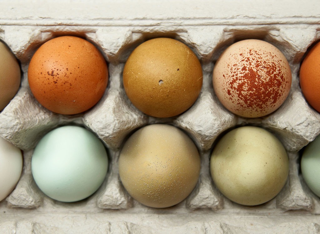 26 Things You Need To Know Before Buying A Carton of Eggs: By Olivia TarantinoThere were some things I expected to be difficult to figure out as an adult—like which funds I should choose for my 401K and what to do when my car breaks down 200 miles from home. Figuring out which carton of eggs to buy was not one of them.Everyone has their go-to brands when it comes to supermarket products. For example, I’ll always look for Rao’s when it comes to pasta sauce and Bob’s Red Mill for my steel cut oats. But after a few of my first grocery store runs post-college, I started realizing I was clueless when it came to choosing a carton of eggs. You know, those protein-packed pantry staples that are a key component of any health-minded person’s diet?I was so clueless, in fact, that I would stand motionless in front of the egg section for minutes at a time, just staring at all the options. I heard “excuse me” more times than I’d like to admit, as hurried shoppers gently nudged me out of their way. They all seemed to have it figured out, but the nutrition junkie inside me couldn’t just grab an option and go. Should I go for the cheaper white eggs? Or were the “cage-free” brown eggs better? And what the heck does “farm fresh” even mean?Even if you have your go-to brand, there are some carton claims that we’d bet you might not know the meaning behind. So, if you’re curious to see what exactly omega-3-enriched eggs really are or why brown eggs always cost more (and if they’re better for you), we’ve compiled the ultimate guide to deciphering those eggcellent egg carton claims. Plus, we’ve added a few brands to look out for when you’re shopping! Not a huge fan of eggs in the first place? Then you’ll definitely want to peep this list of 26 Foods With More Protein Than an Egg!