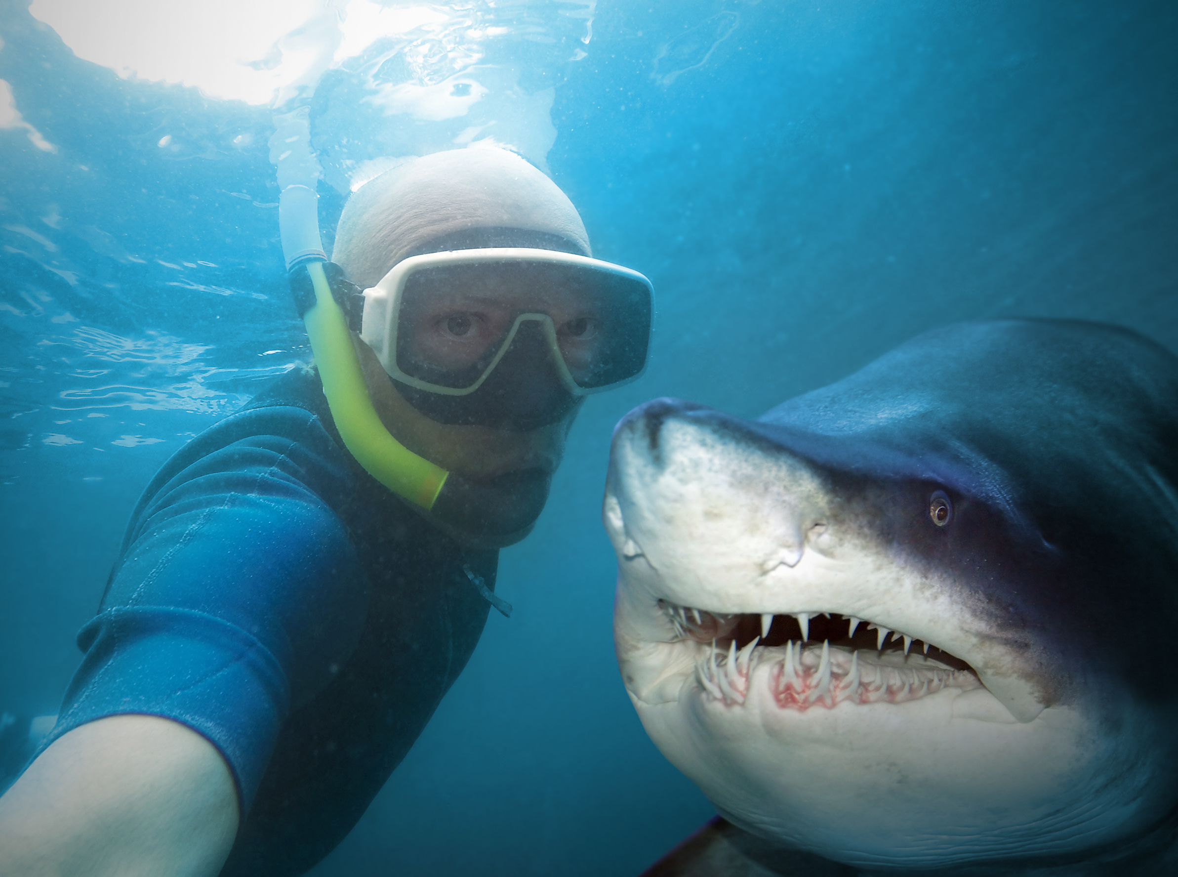 Scuba diver takes a selfie with a shark underwater.