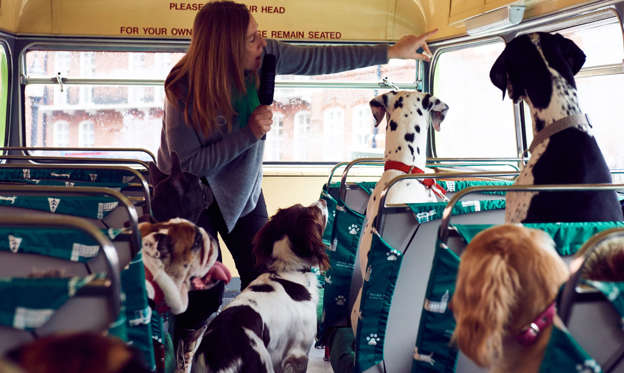 幻灯片 10 - 4: MORE TH>N DOGGYSSENTI>LS tour bus for dogs, London, UK - 15 Jan 2017 Doggy essentials tour bus