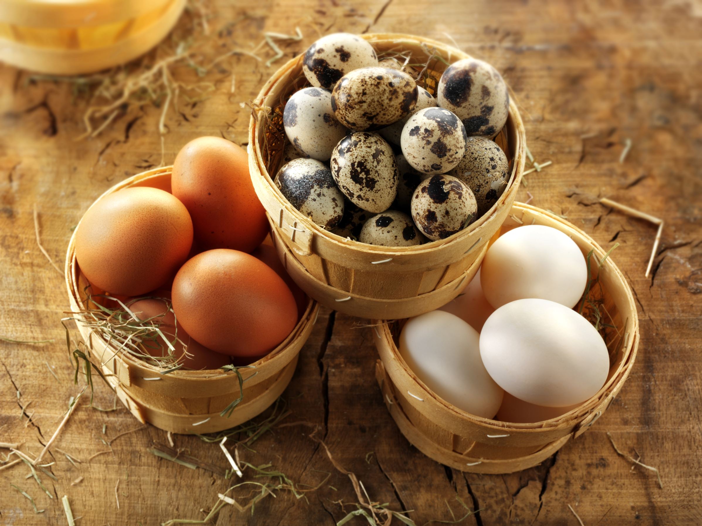 11 different types of eggs you should be eating