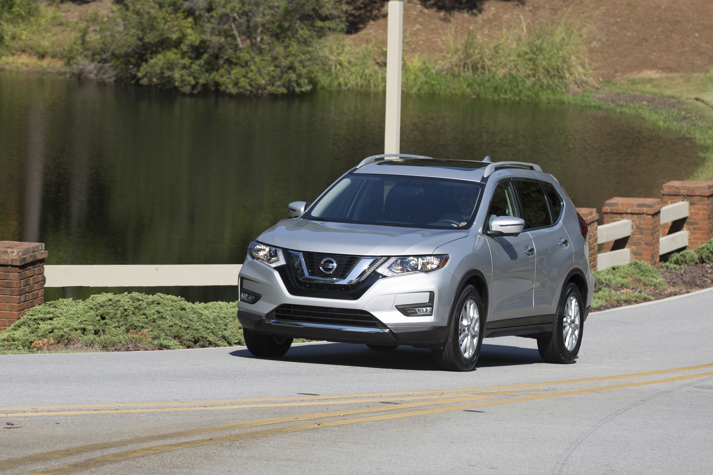 100 идей использования коряг, веток, пней и стволов деревьев Исторические фотогр