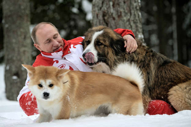 DiapositiveÂ 9 surÂ 22: L'amoureux des bÃªtes : Le prÃ©sident russe est un amoureux des chiens. Il a nommÃ© son berger bulgare Buffy (Ã  doite) aprÃ¨s avoir lancÃ© un concours national pour lui trouver un nom. Son autre chien, Yume, est un akita (Ã  gauche). La plupart de ses animaux lui ont Ã©tÃ© offerts en cadeau, incluant la chÃ¨vre Skazka, un cheval miniature nommÃ© Vadik et un tigre de SibÃ©rie.