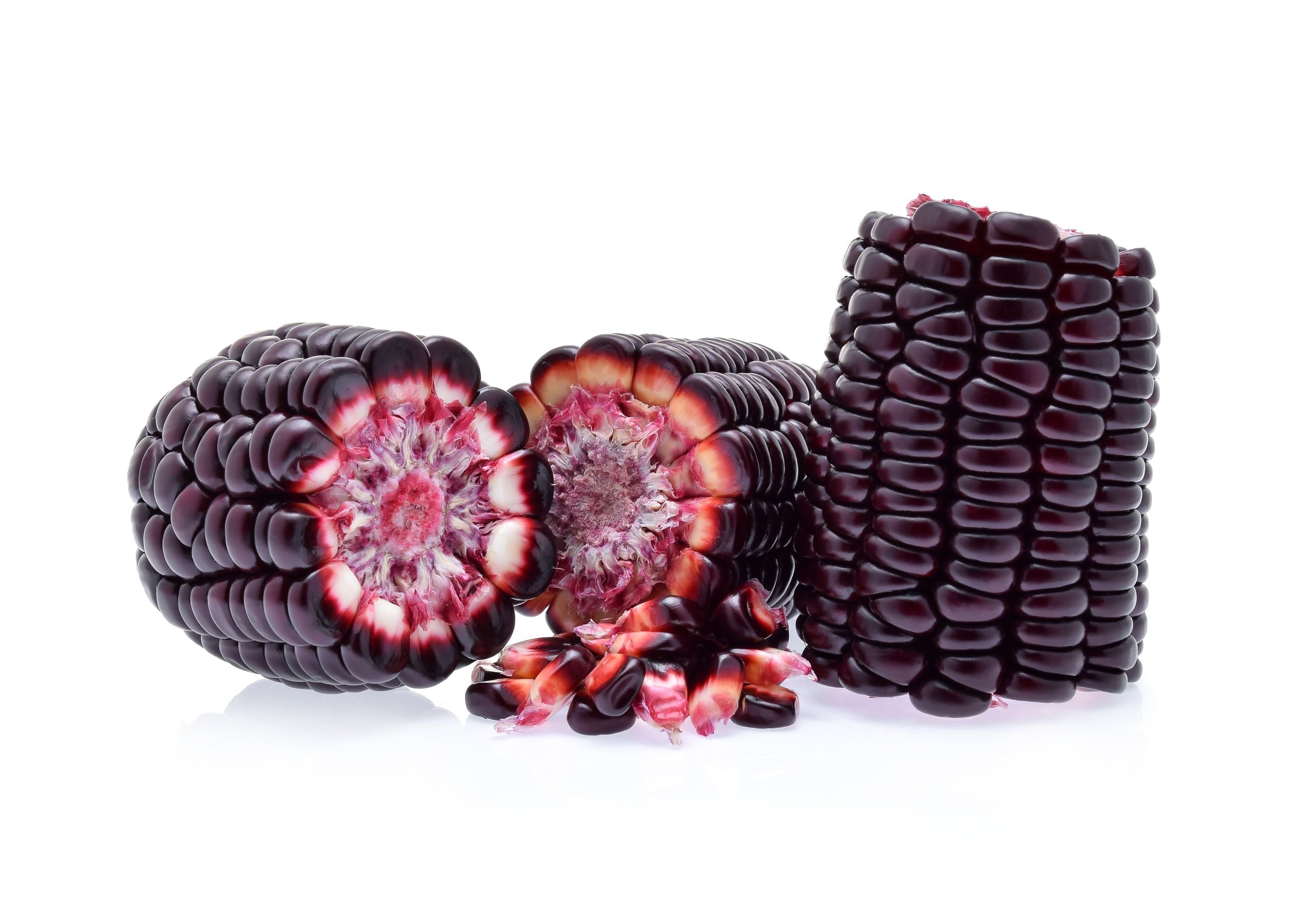 ���� ���� ������ �� ���� ������