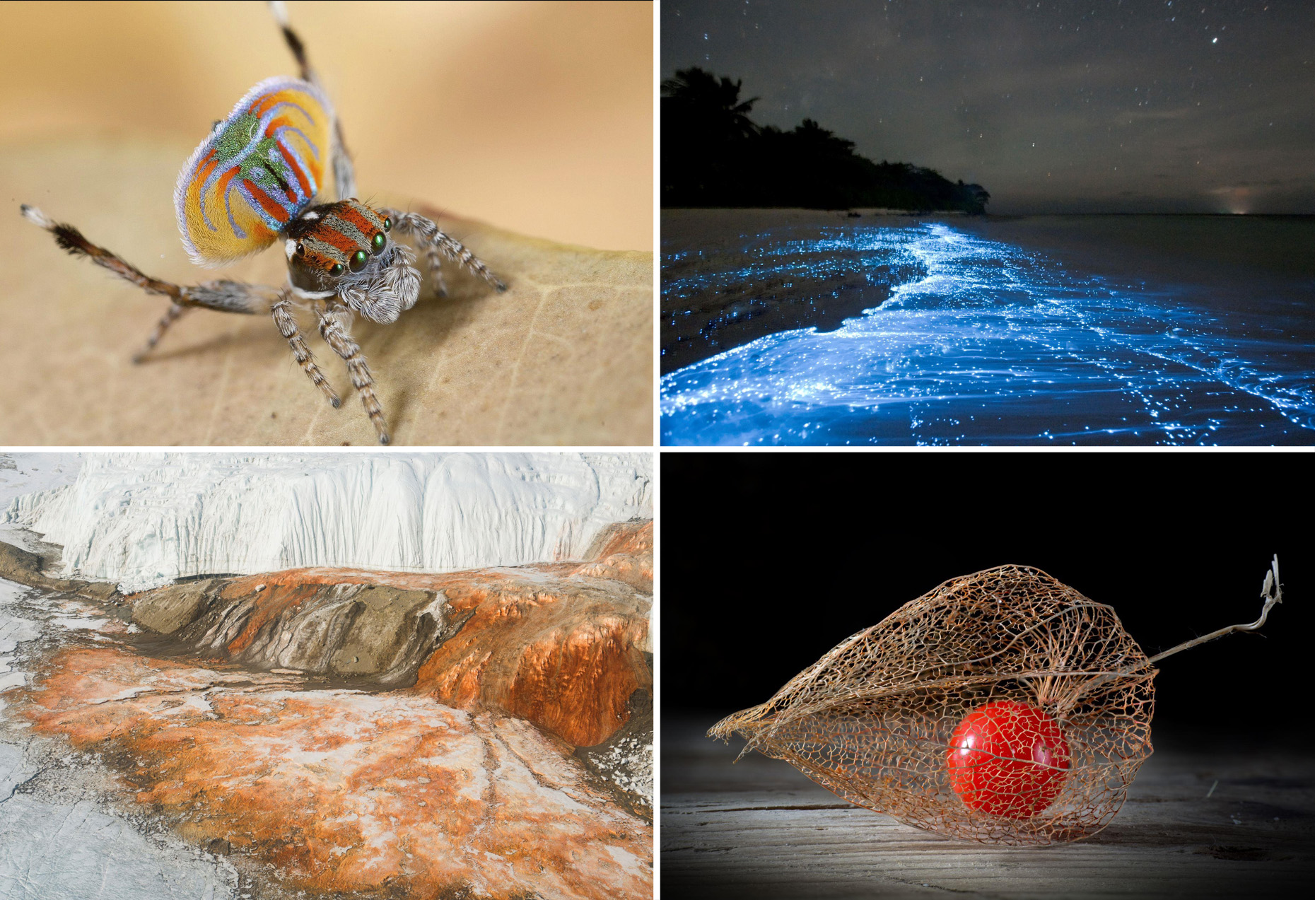 ���� ���� ������ �� ���� ������