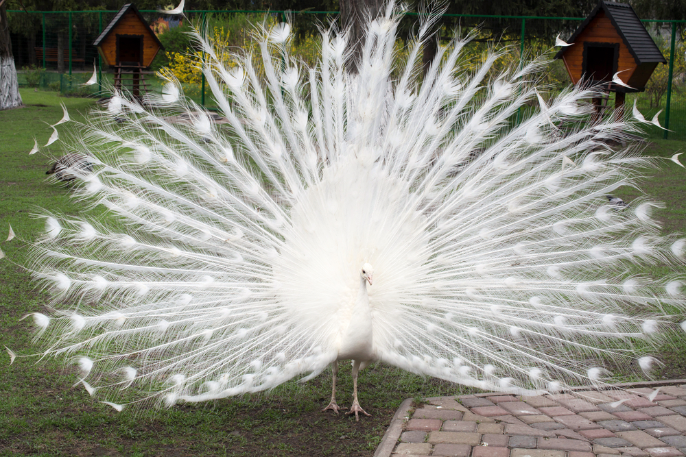 ���� ���� ������ �� ���� ������