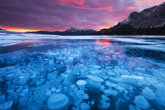 نقره لعرض الصورة في صفحة مستقلة