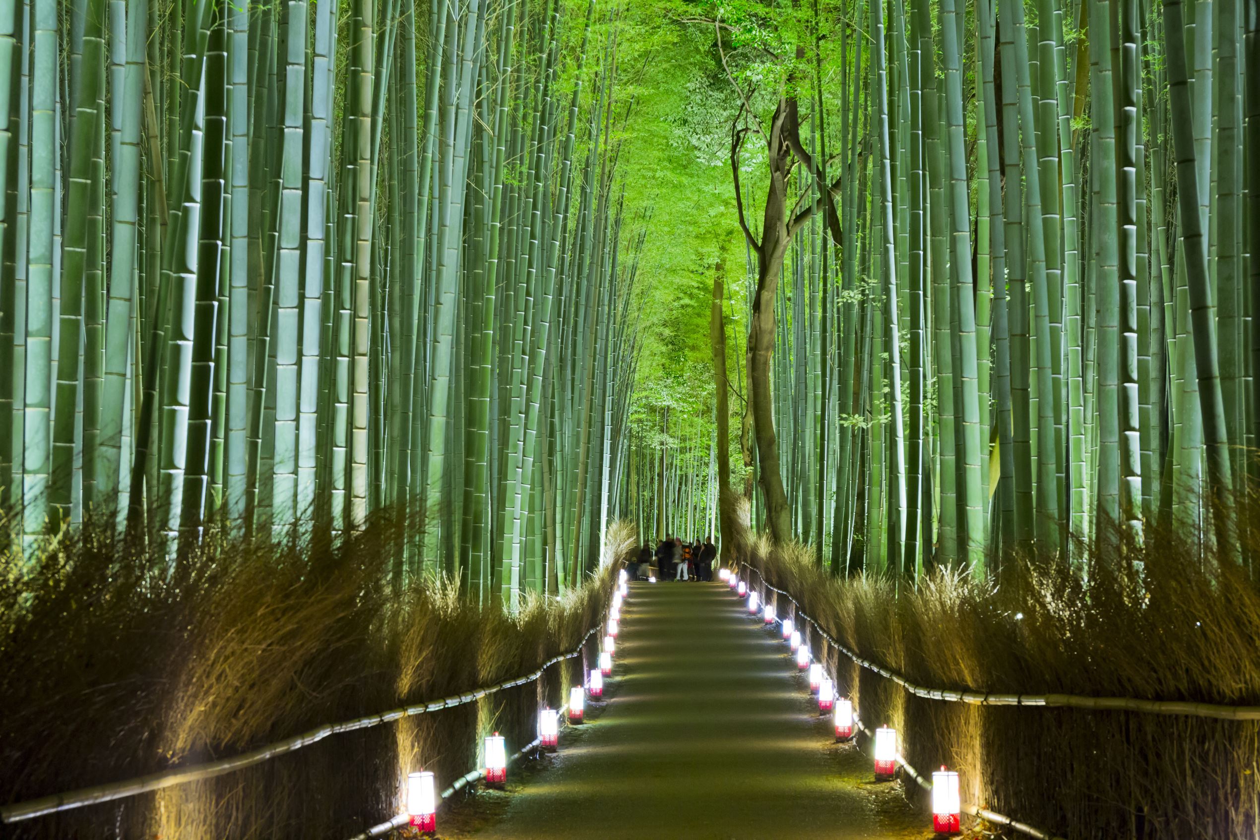 神秘的で美しい 死ぬまでに行きたい 世界の絶景 13選
