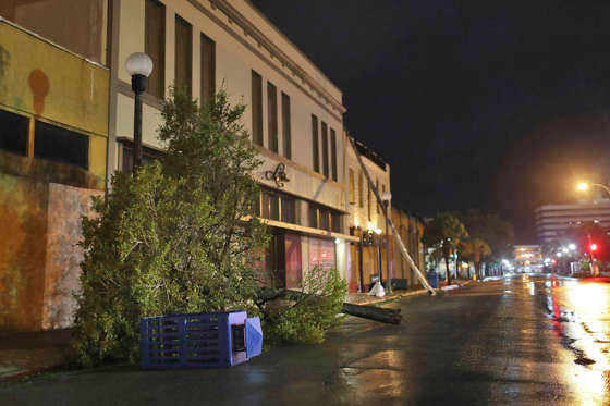 Hurricane Harvey - Joe Raedle/Getty Images Slide 2 of 37: CORPUS CHRISTI, TX - AUGUST 26: A tree is seen knocked over after the passing of Hurricane Harvey on August 26, 2017 in Corpus Christi, Texas. Hurricane Harvey had intensified into a hurricane and hit the Texas coast as damage is being assessed.