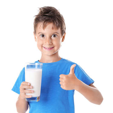 Diapositiva 22 de 36: La leche es absolutamente necesaria para un cuerpo fuerte y sano – si eres una vaca en crecimiento. Varios estudios no han encontrado evidencia de que la leche de vaca mejore la salud ósea, pero ha demostrado que los productos lácteos tienen un efecto negativo sobre la salud general, incluida la salud ósea. El mito de la leche ha sido impulsado por la industria láctea, que presiona al USDA (cuyo jefe saliente recientemente tomó un trabajo cómodo y bien pagado como CEO del Consejo de Exportación de Productos Lácteos de Estados Unidos).
