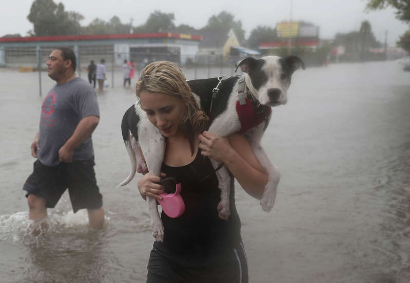 Trump Administration Sits on Billions in Storm Protection Money AAr22cN