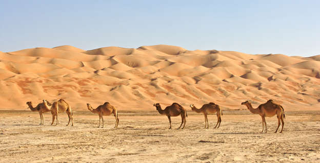Diapositive 25 sur 28: O maior deserto de areia contínua do mundo tem um dos climas mais quentes e seco, com temperaturas de até 56,1º C.