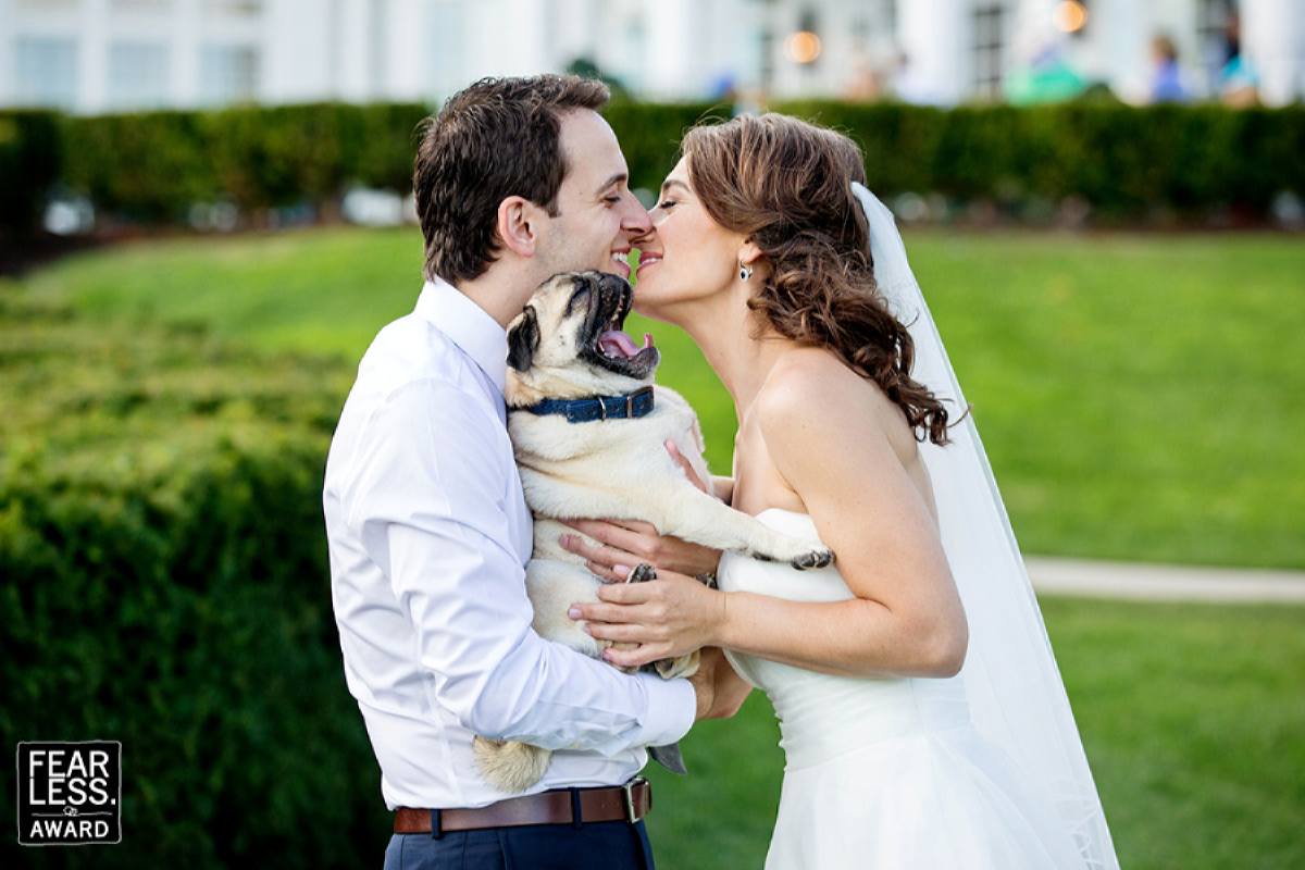 ���� ���� ������ �� ���� ������