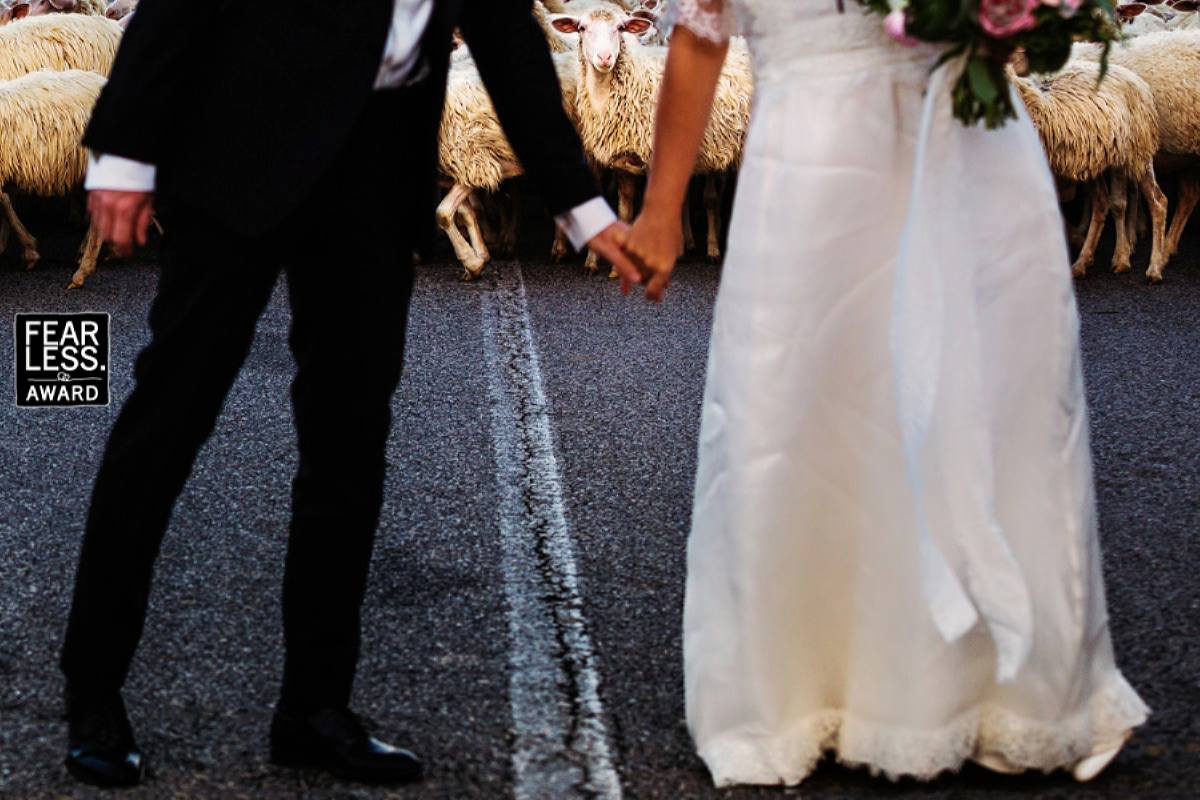 ���� ���� ������ �� ���� ������