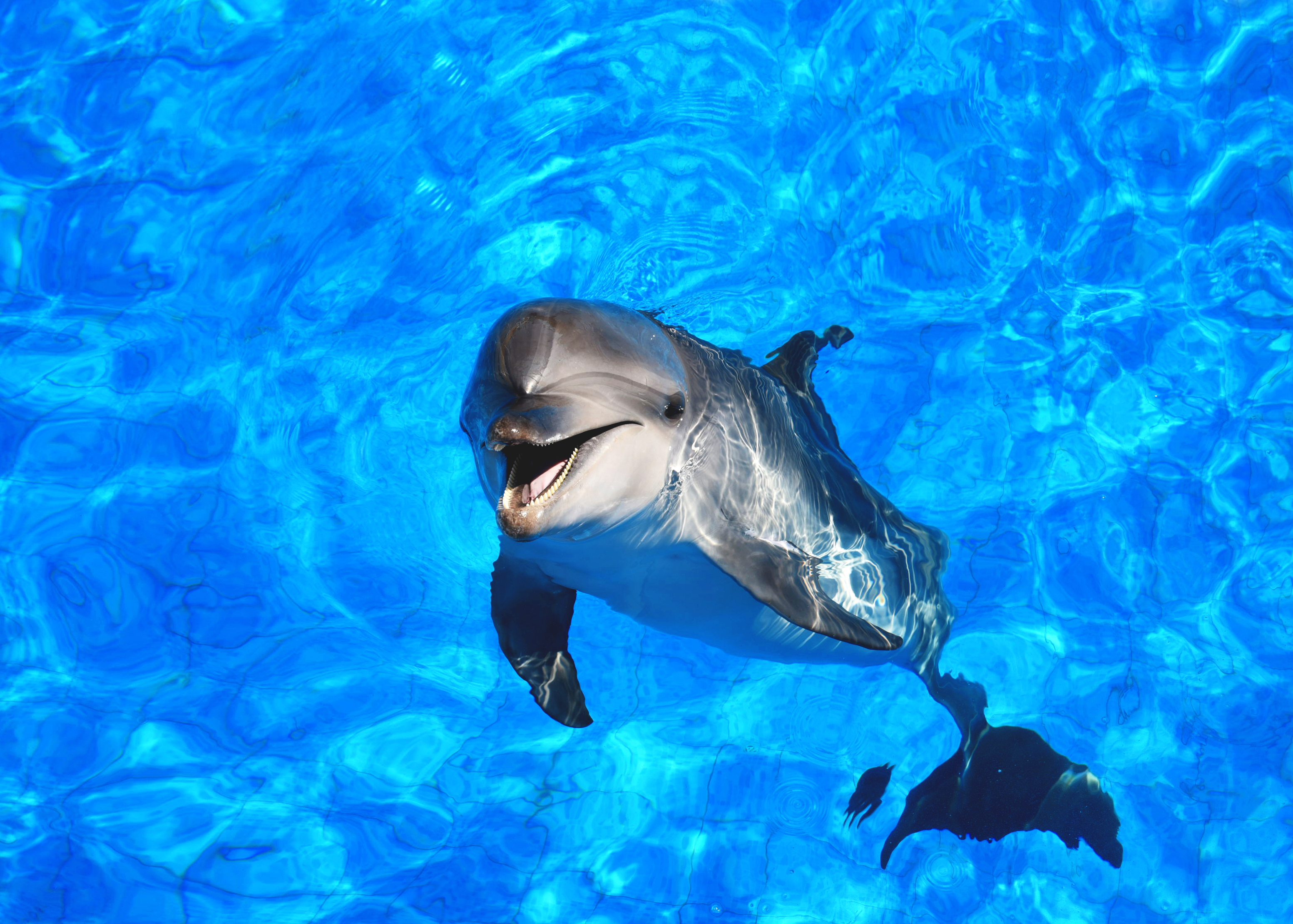 Diapositiva 30 de 31