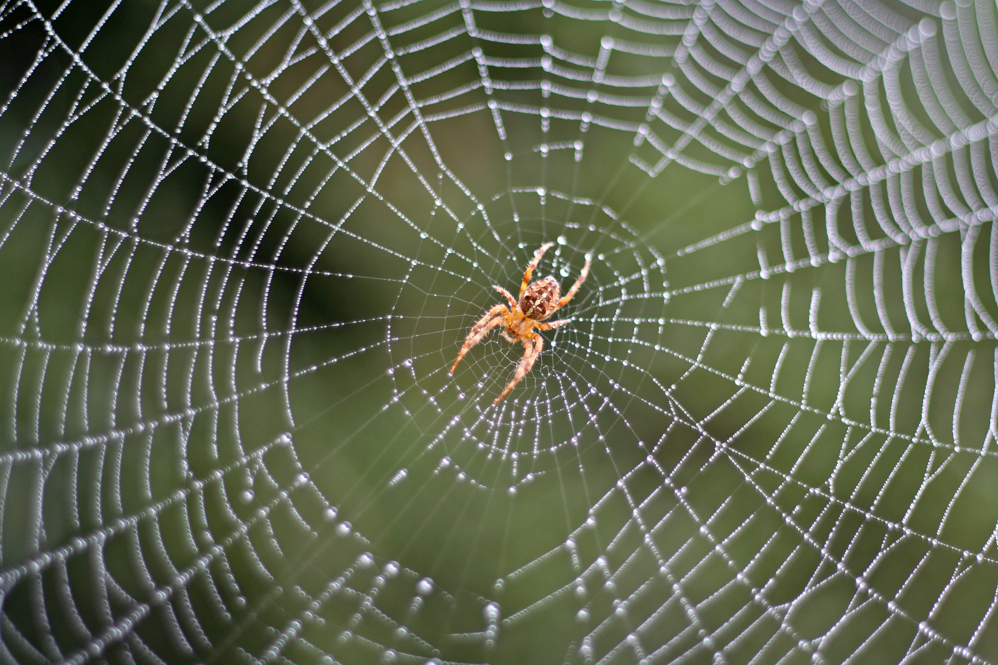 Diapositiva 16 de 31