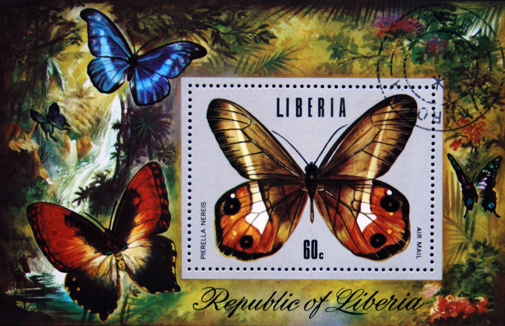 Slide 24 of 70: A stamp printed in Republic of Liberia shows butterfly Pierella nereis, circa 1980s