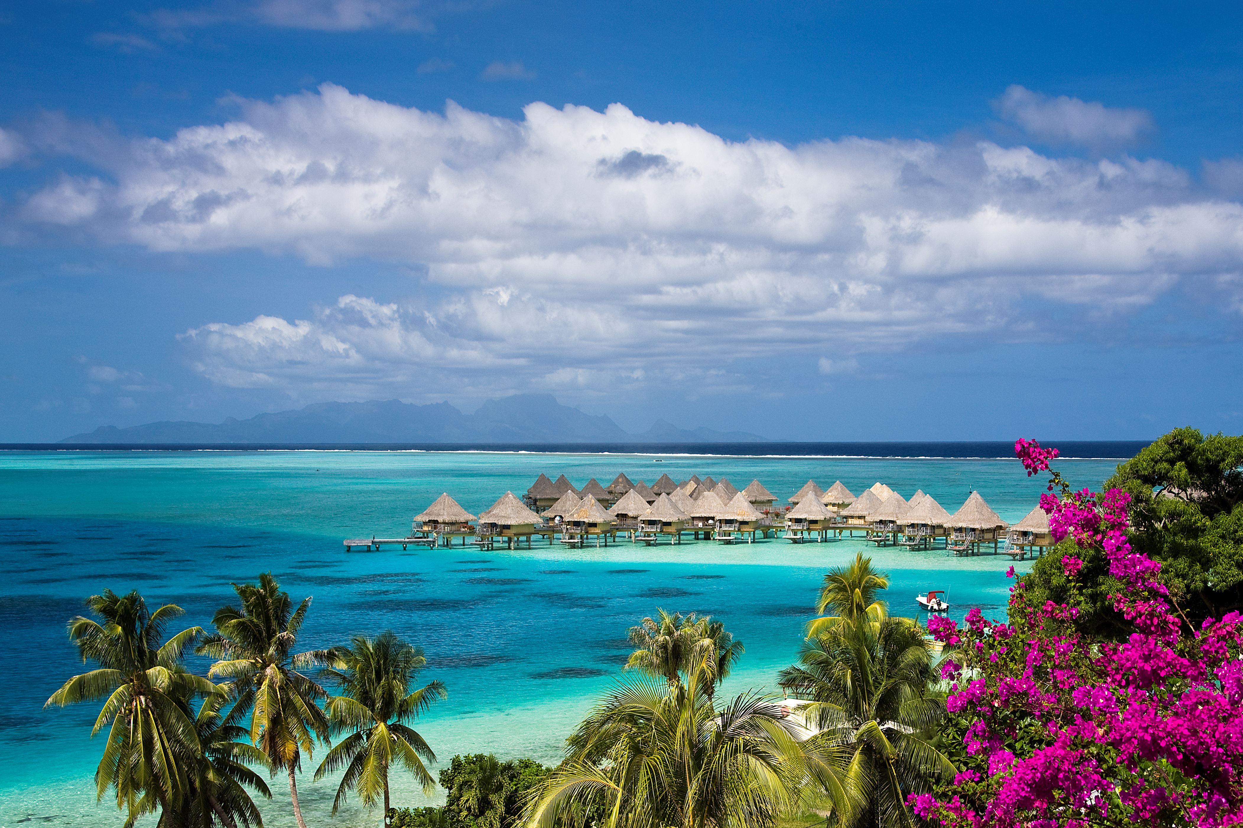 地上最後の楽園 一瞬で心を奪われる美しすぎる世界のビーチ