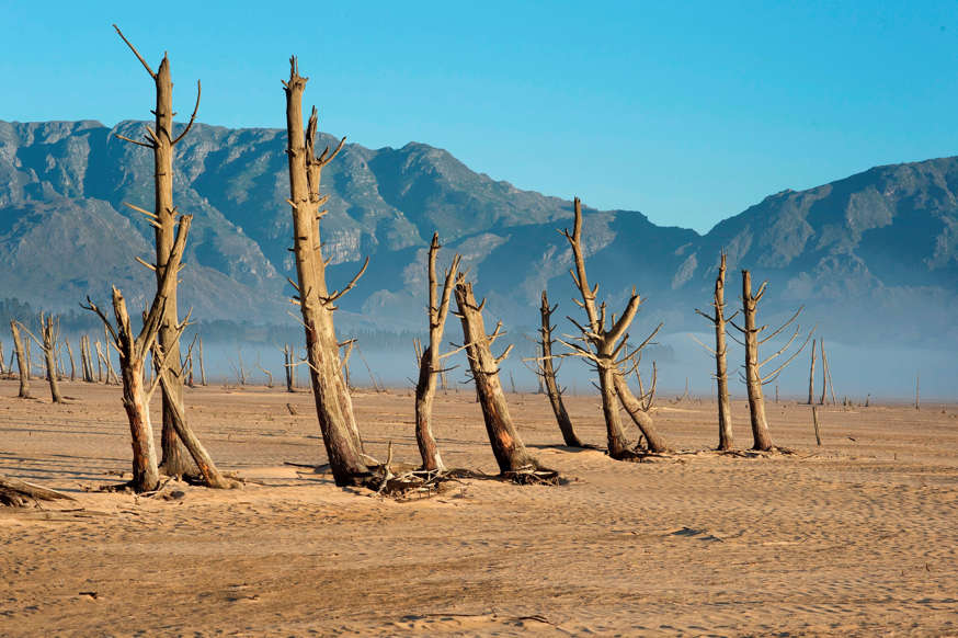 Slide 2 of 25: A picture taken on May 10, 2017 shows bare sand and dried tree trunks standing out at Theewaterskloof Dam, which has less than 20% of it's water capacity, near Villiersdorp, about 108km from Cape Town. South Africa's Western Cape region which includes Cape Town declared a drought disaster on May 22 as the province battled its worst water shortages for 113 years. This dam is the main water source for the city of Cape Town, and there is only 10% of it's usual capacity left for human consumption, at the last 10% is not useable, due to the silt content. / AFP PHOTO / Rodger BOSCH (Photo credit should read RODGER BOSCH/AFP/Getty Images)