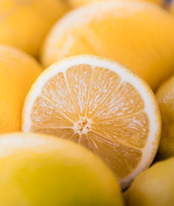 11 Ways to Get Rid of Pests Naturally