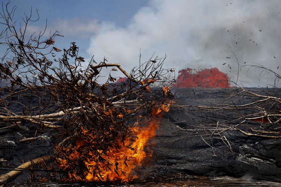 Slide 21 of 204: Lava burns a tree in the Leilani Estates subdivision near Pahoa, Hawaii, Tuesday, May 22, 2018. Authorities were racing Tuesday to close off production wells at a geothermal plant threatened by a lava flow from Kilauea volcano on Hawaii's Big Island.
