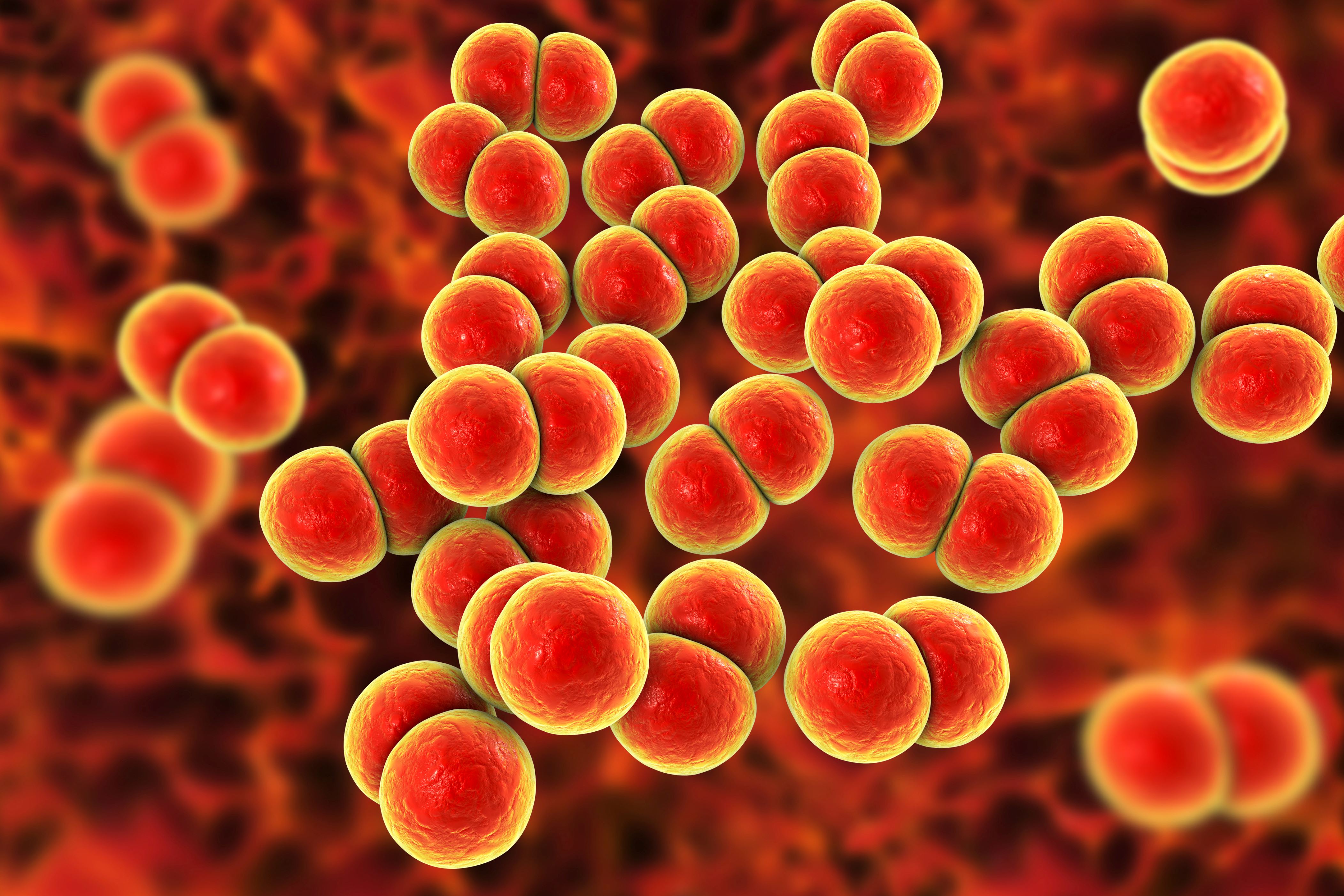 An antibioticresistant strain of 'super gonorrhea' is spreading around