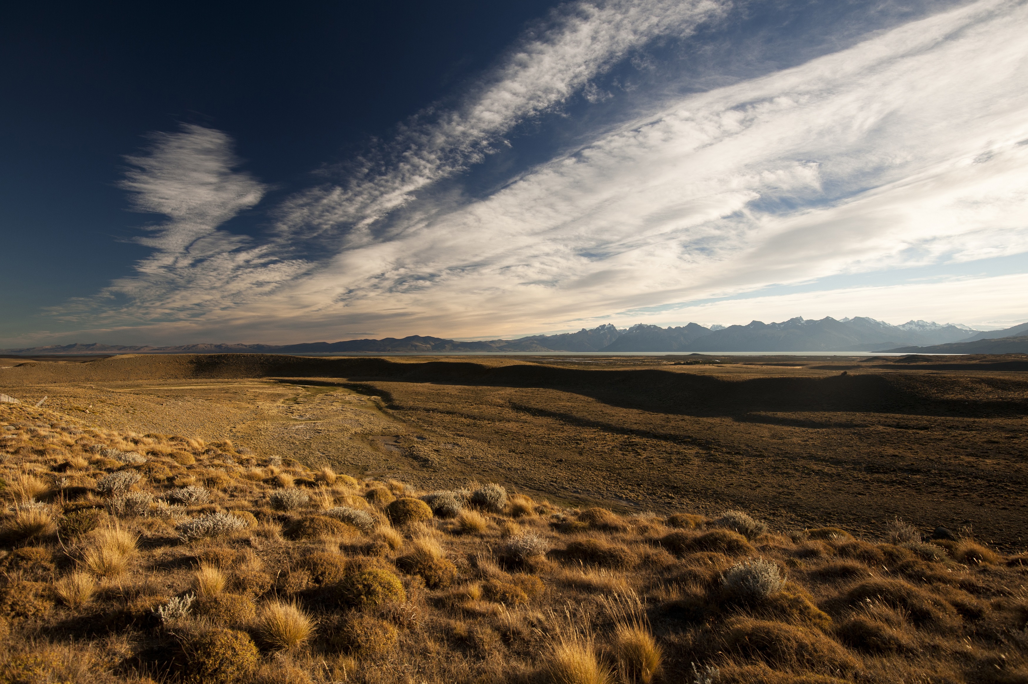 ���� ���� ������ �� ���� ������