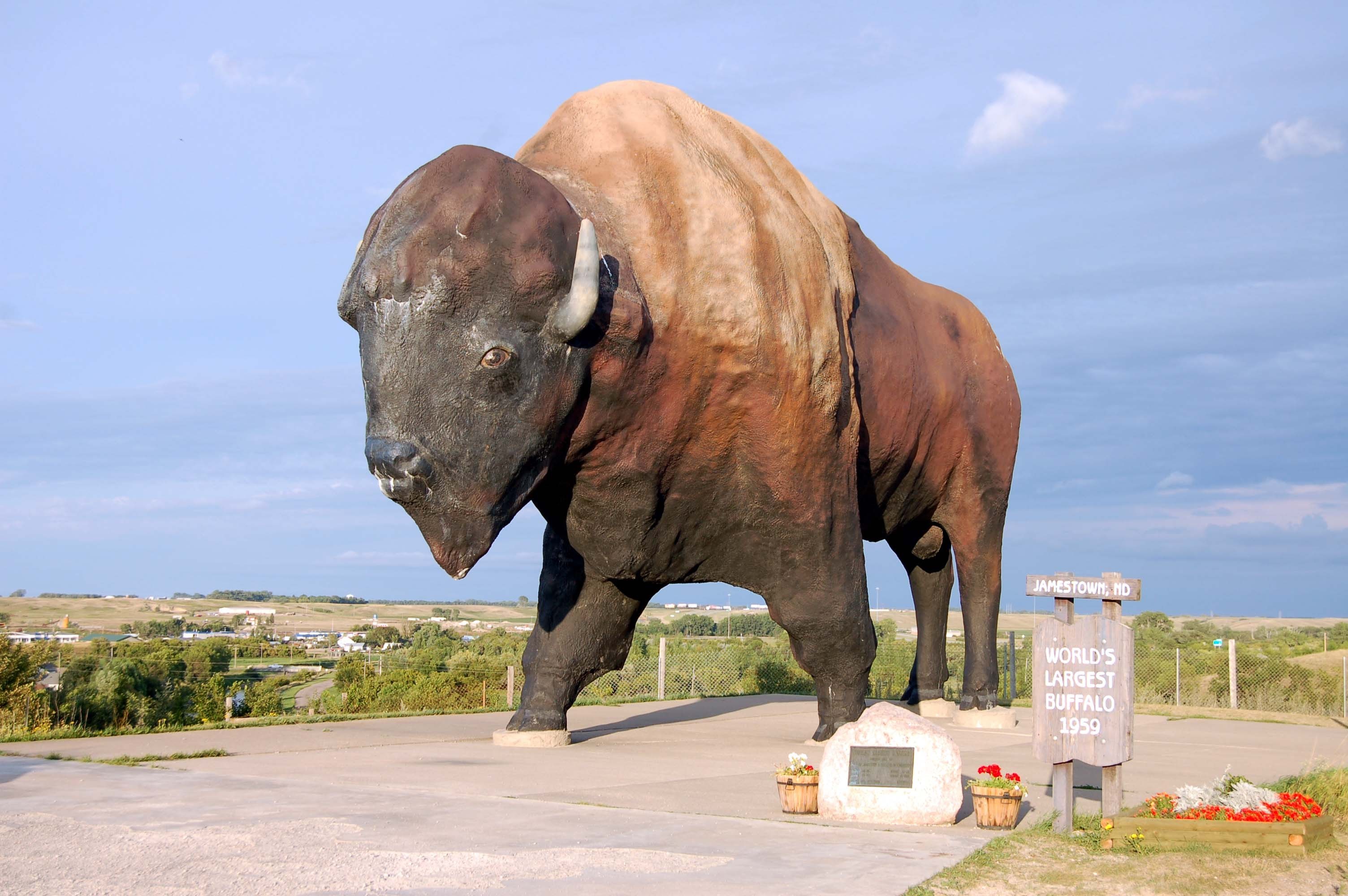 Slide 7 of 19: JAMESTOWN, ND - AUGUST 24: The World's Largest Buffalo, seen here on August 24, 2009, can be seen from I-94, and is nicknamed Dakota Thunder.  It is located in Frontier Village in Jamestown, ND; Shutterstock ID 78206956; Purchase Order: -